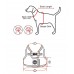 Pettorina Pettorine Puppia MISCHIEF HARNESS B